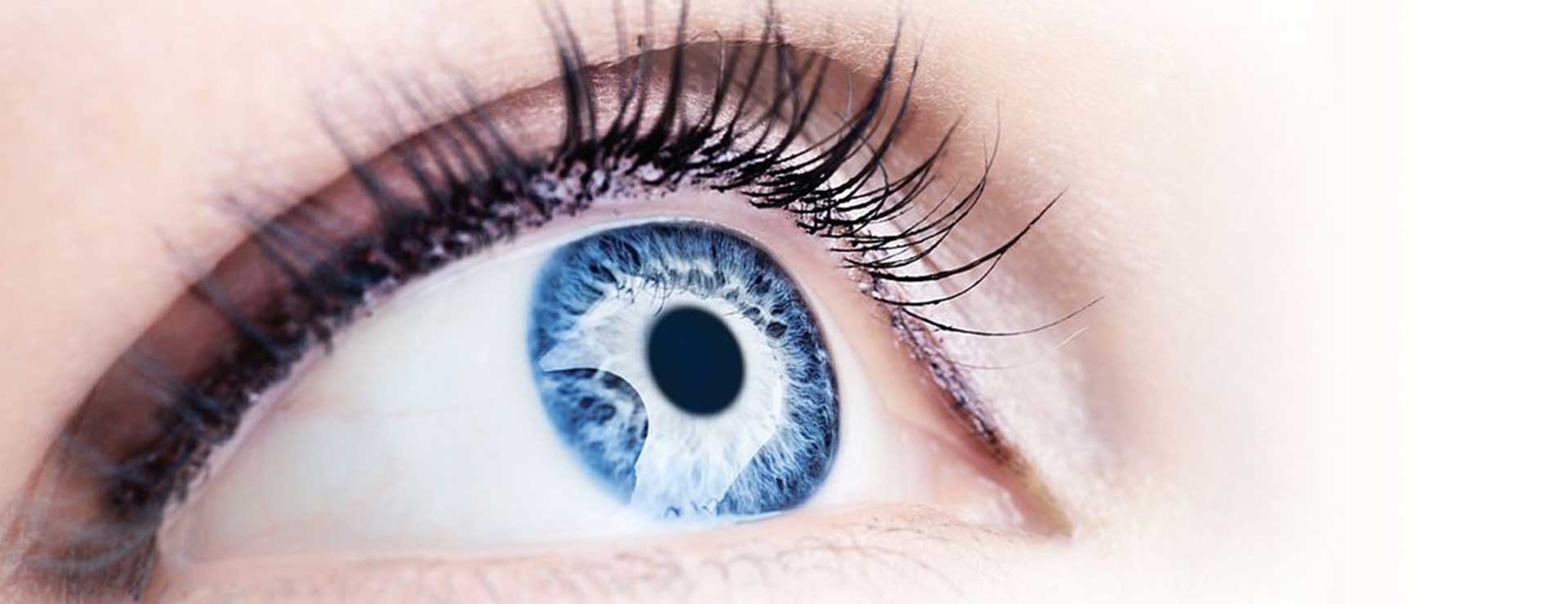 Centro Medico Polispecialistico Loreto